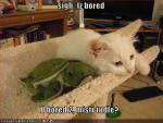 1337turtle